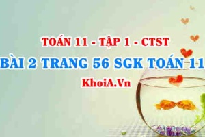 Bài 2 trang 56 SGK Toán 11 Tập 1 Chân trời sáng tạo